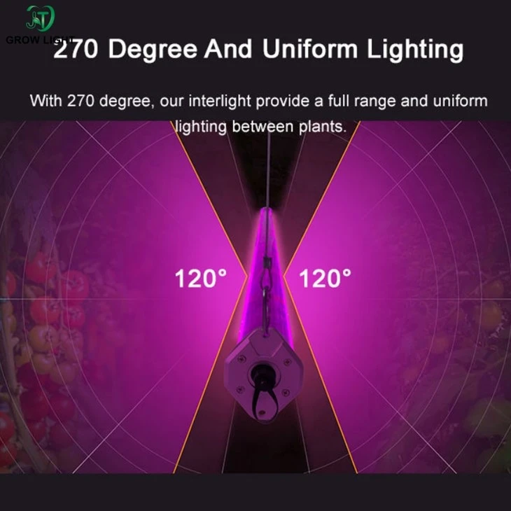 IP66 Inter Canopy LED Grow Light For Indoor Cultivation IP66 Inter Canopy LED Grow Light For Indoor Cultivation